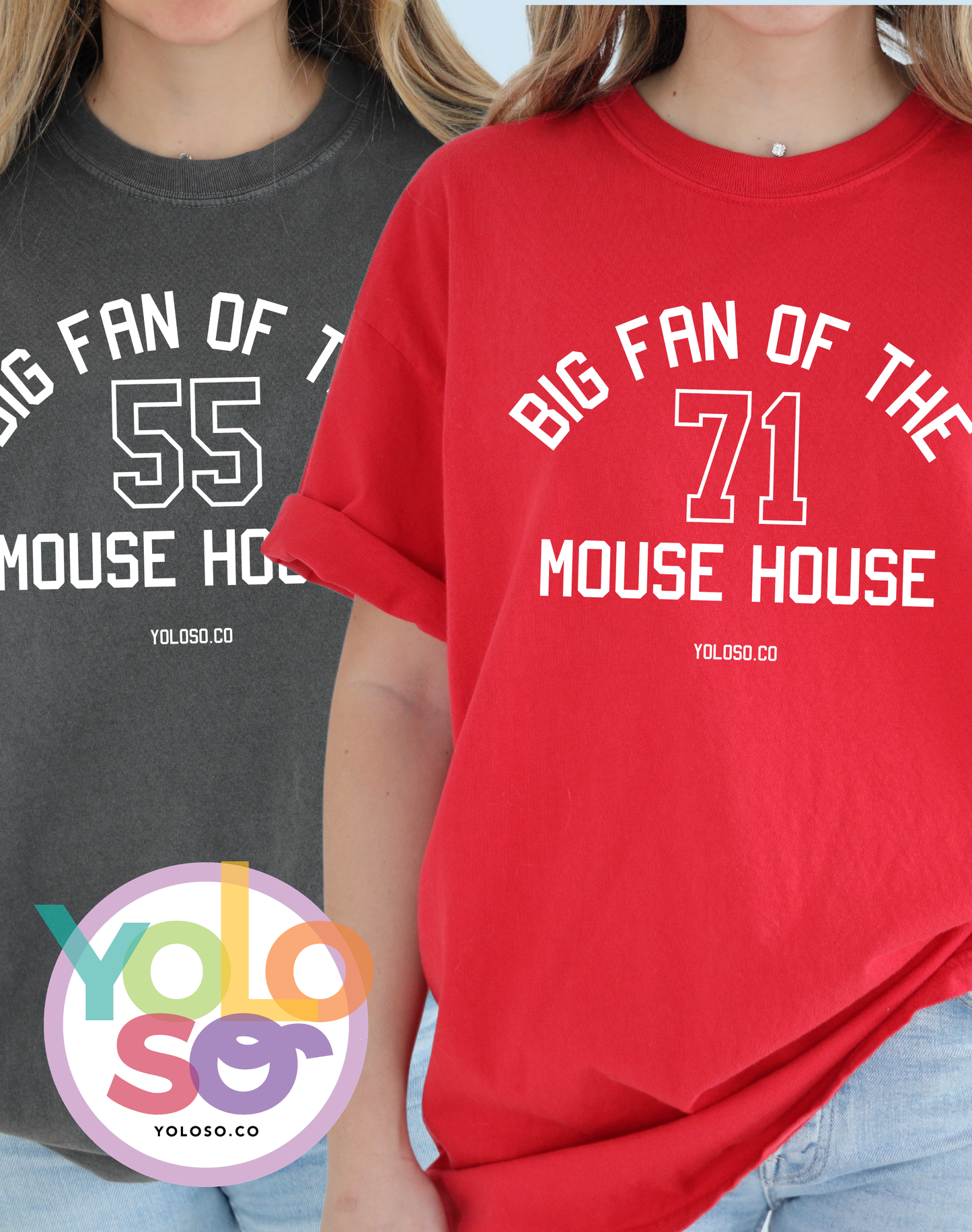 Mouse House (55 & 71)