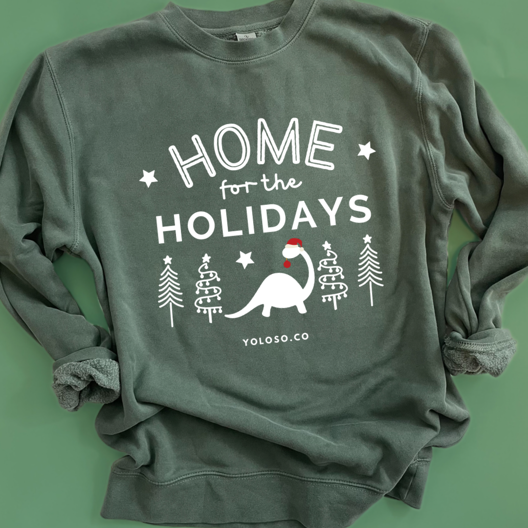 Home for the Holidays - HS